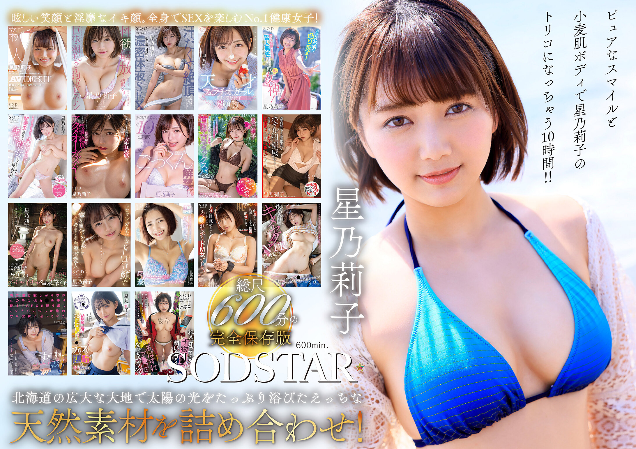 サンプルプレビュー