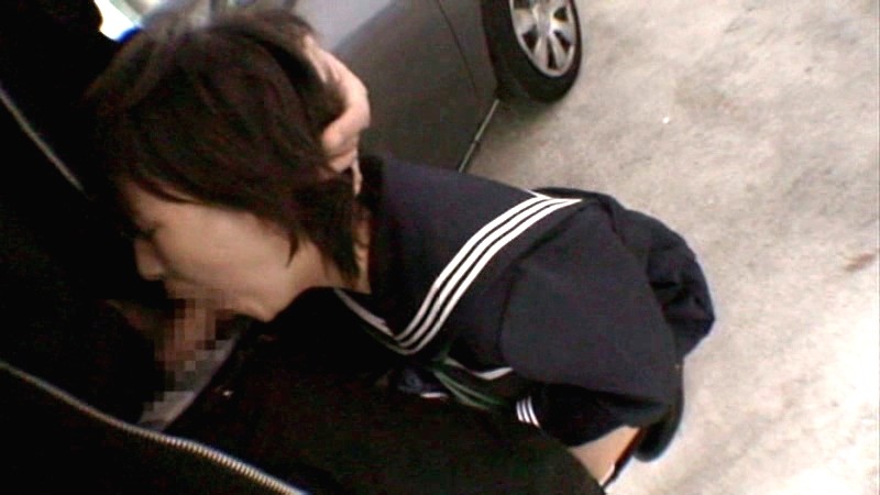 サンプル画像 12