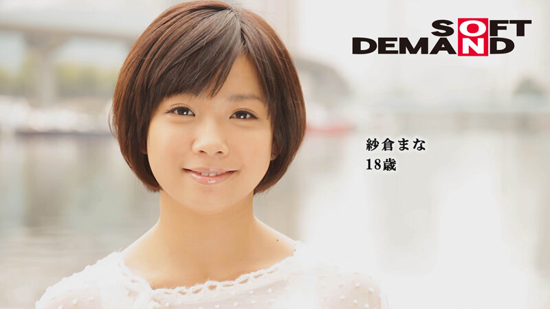 サンプル画像 3