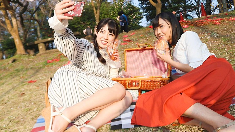 サンプル画像 13