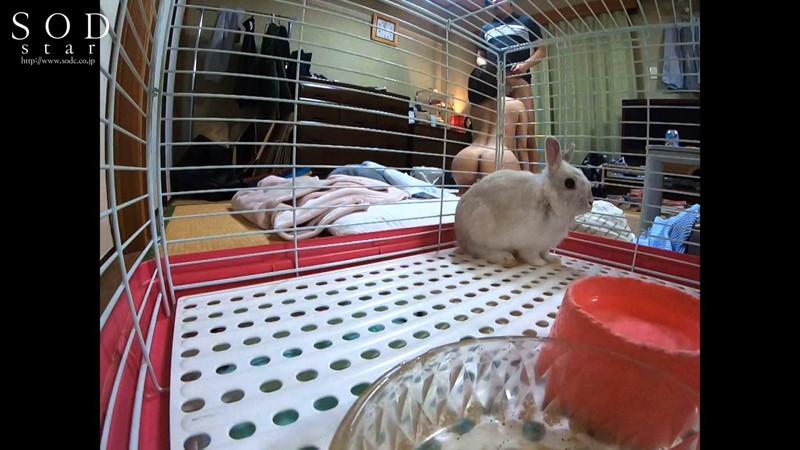 サンプル画像 6