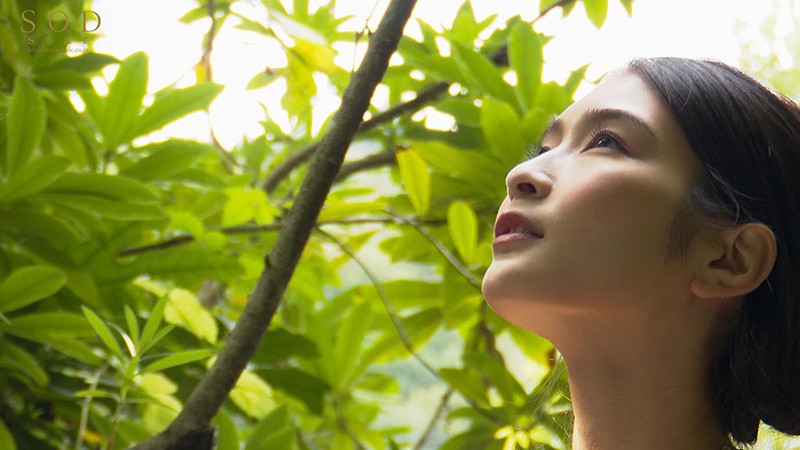 サンプル画像 21