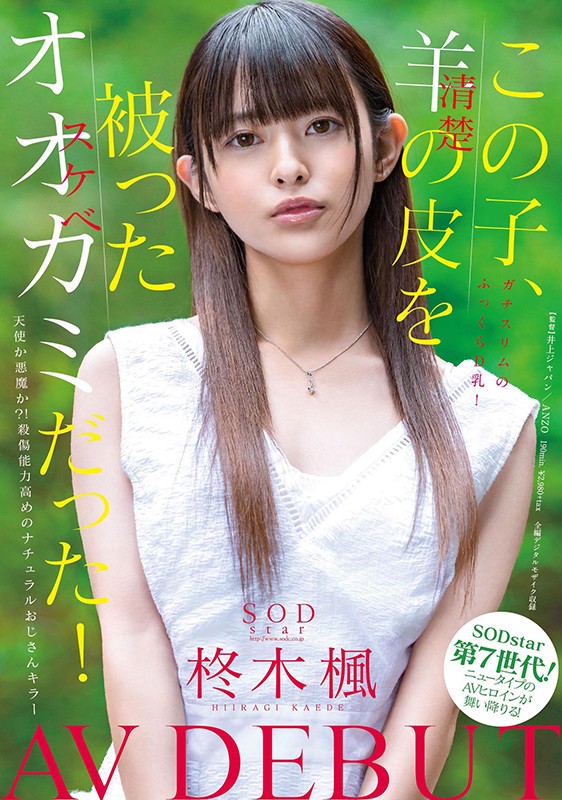 サンプル画像 2