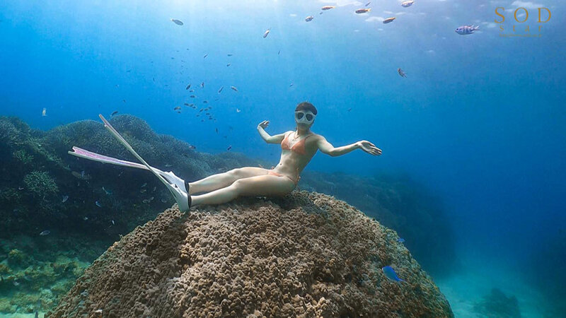 サンプル画像 17