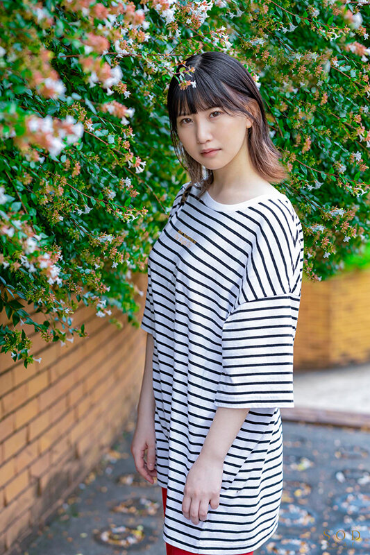 サンプル画像 3