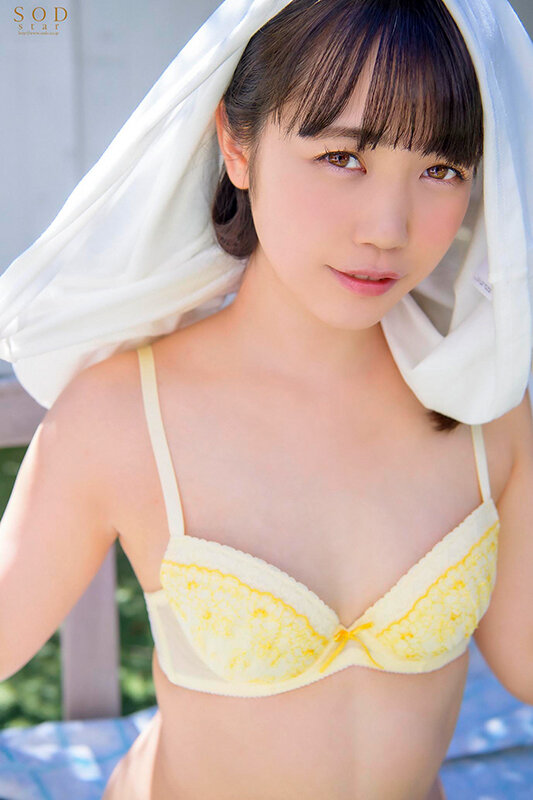 サンプル画像 3