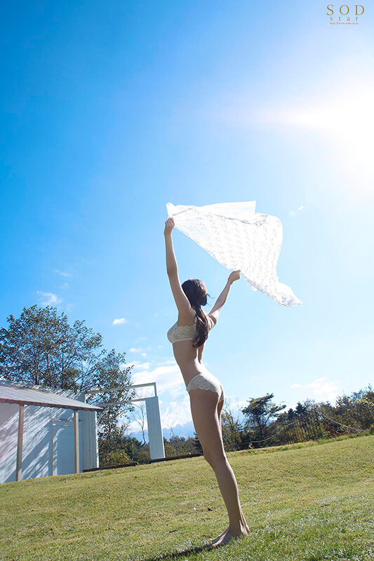 サンプル画像 14