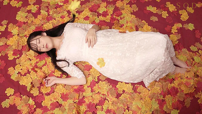 サンプル画像 8