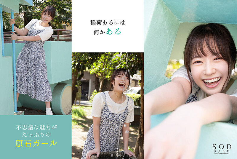 サンプル画像 5