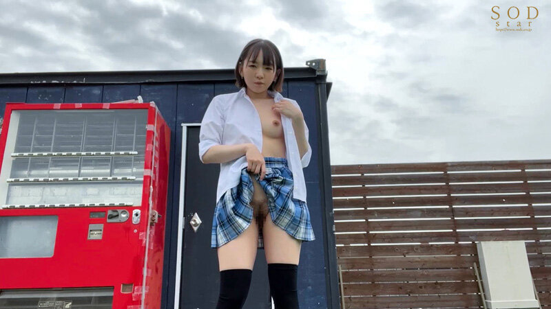 サンプル画像 5