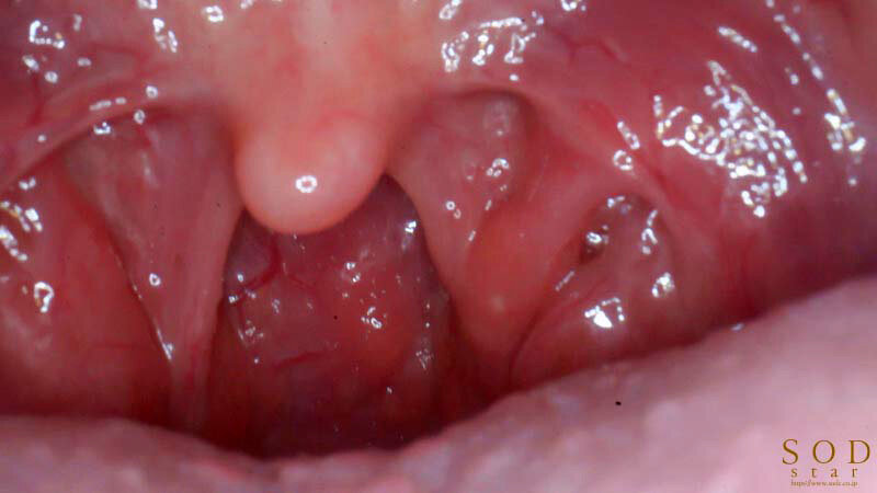 サンプル画像 12