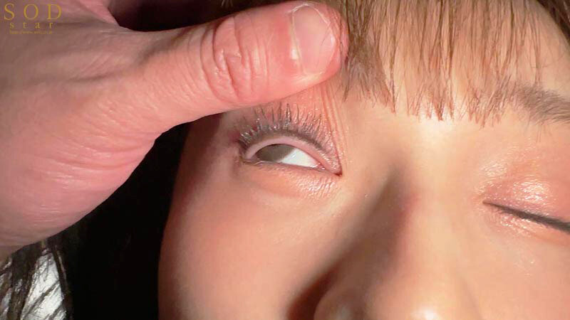 サンプル画像 10