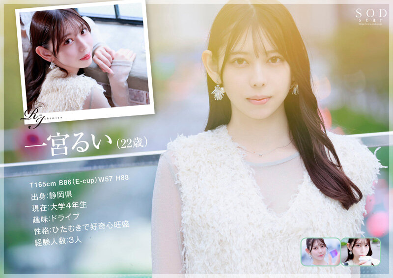 サンプル画像 3