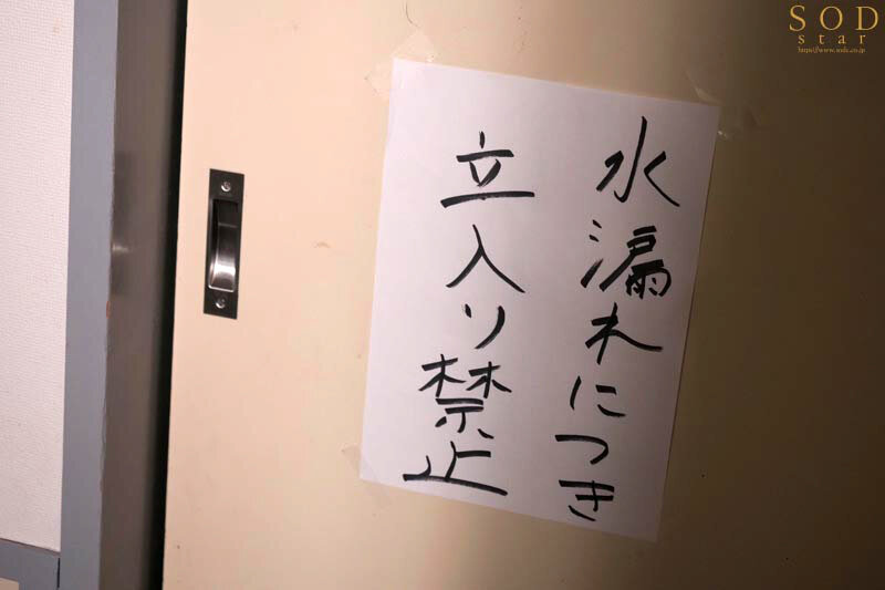 サンプル画像 12