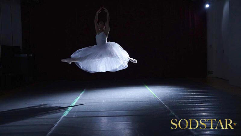 サンプル画像 5