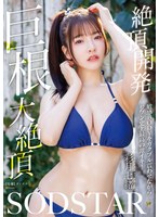 パッケージ画像
