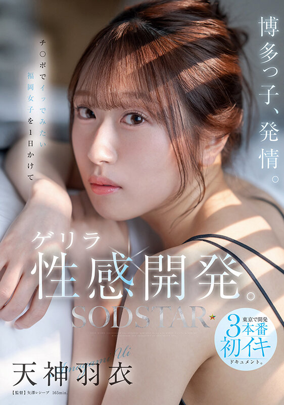 サンプル画像 2