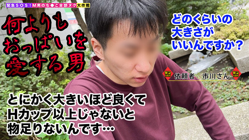 サンプル画像 2