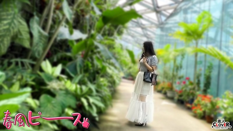 サンプルプレビュー