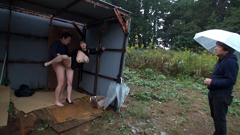 サンプル画像 12