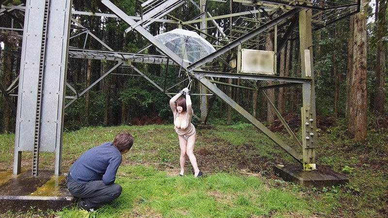 サンプル画像 8