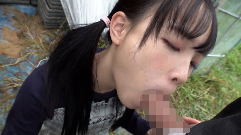 サンプル画像 13