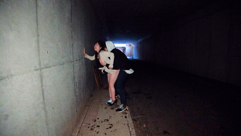 サンプル画像 12