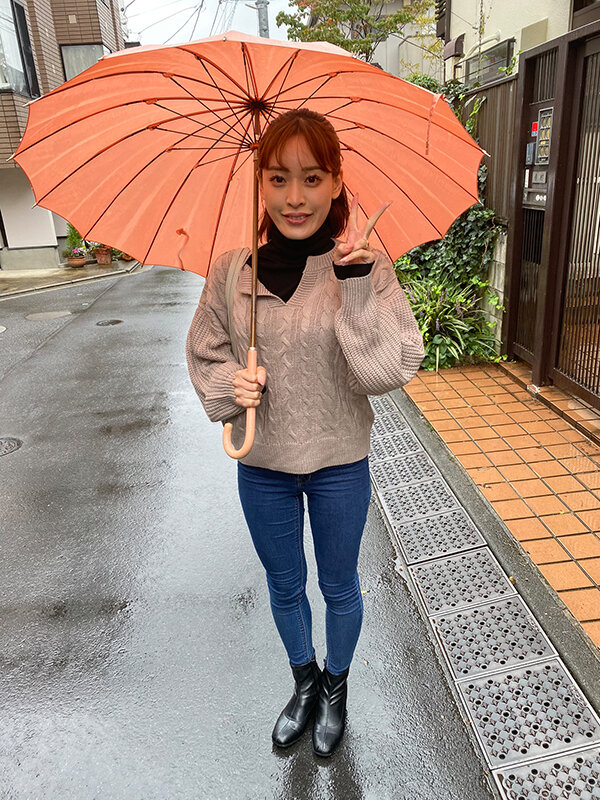 サンプル画像 2