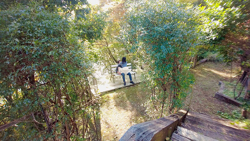 サンプル画像 8