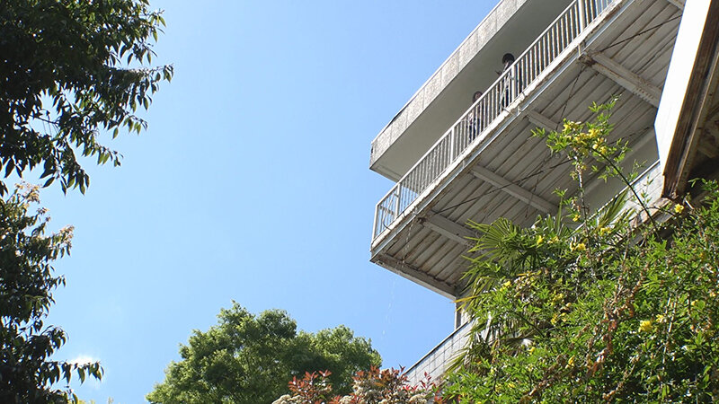 サンプル画像 6