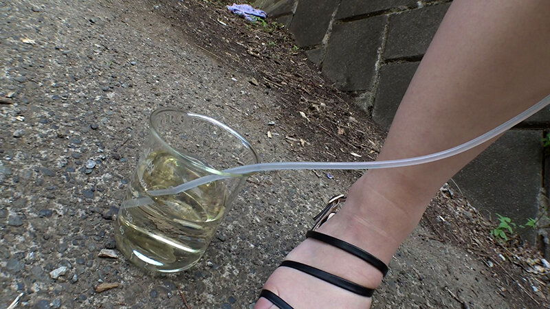 サンプル画像 8