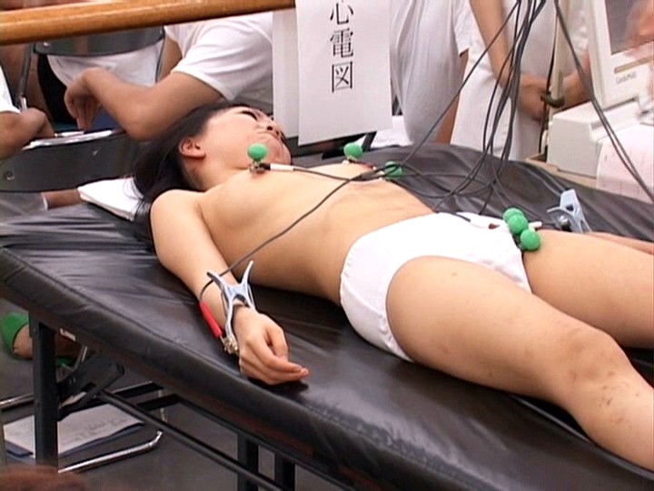 サンプル画像 5