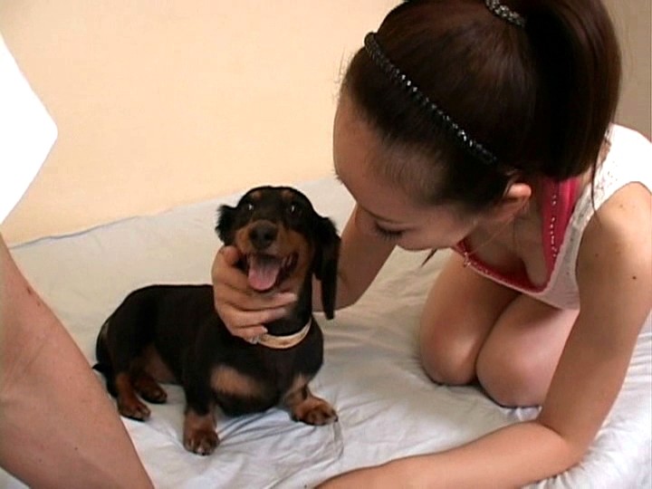 サンプル画像 15