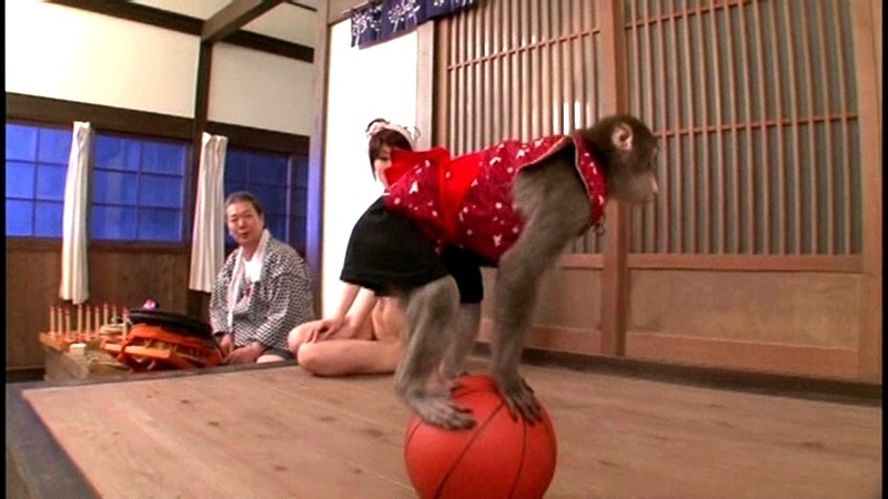 サンプル画像 18