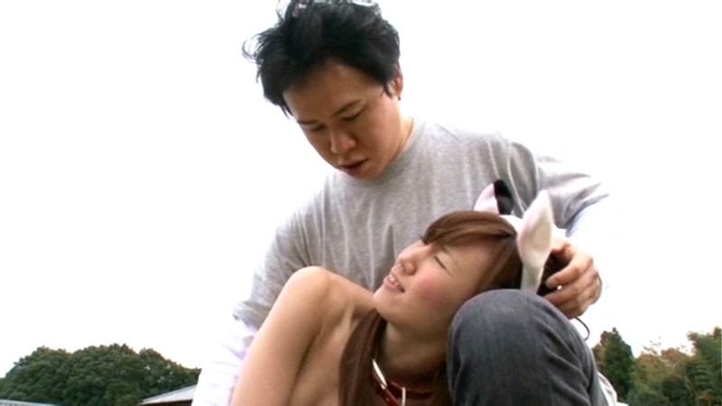 サンプル画像 3