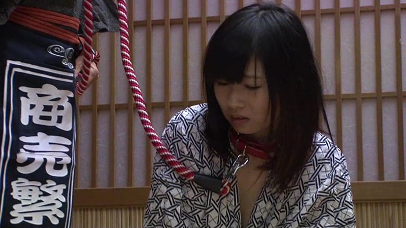 サンプル画像 13