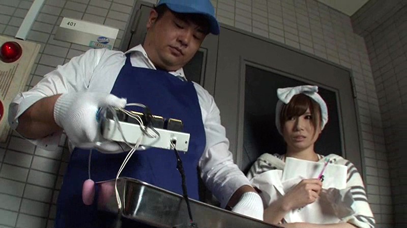 サンプル画像 2