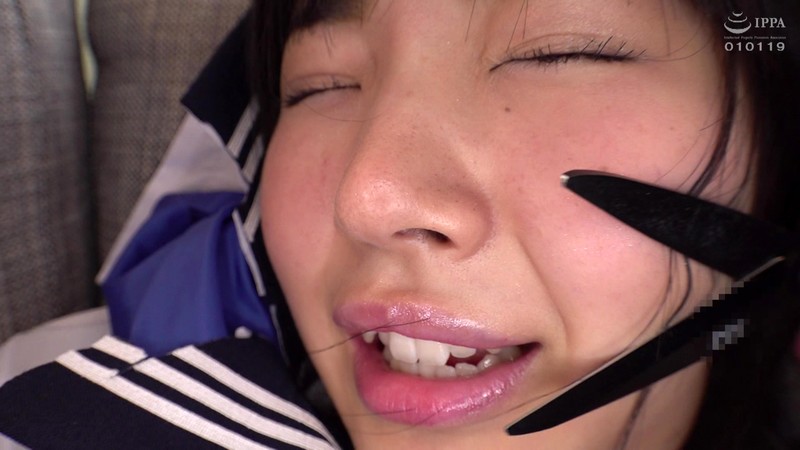 サンプル画像 2