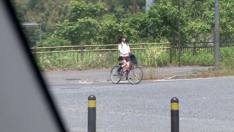 サンプル画像 2