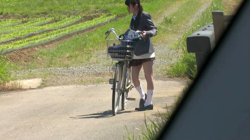 サンプル画像 2