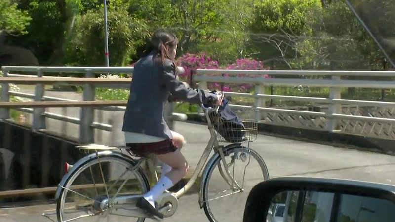 サンプル画像 3