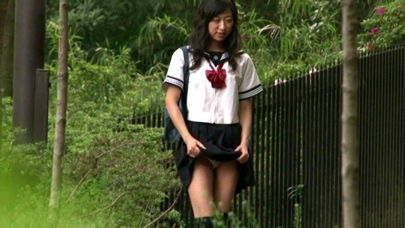 サンプル画像 3