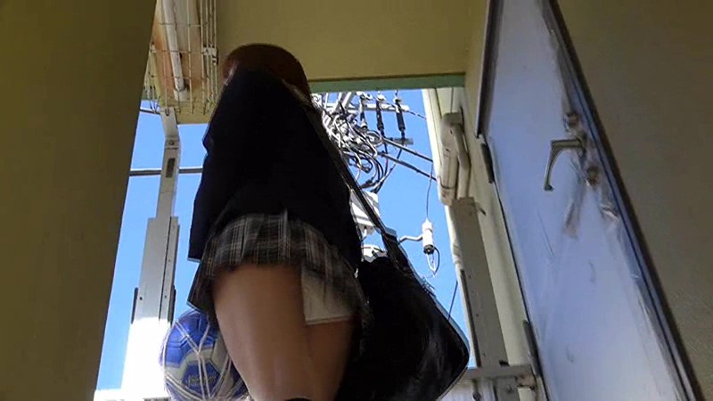 サンプル画像 5