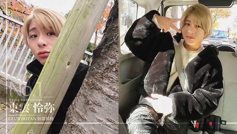 サンプル画像 4