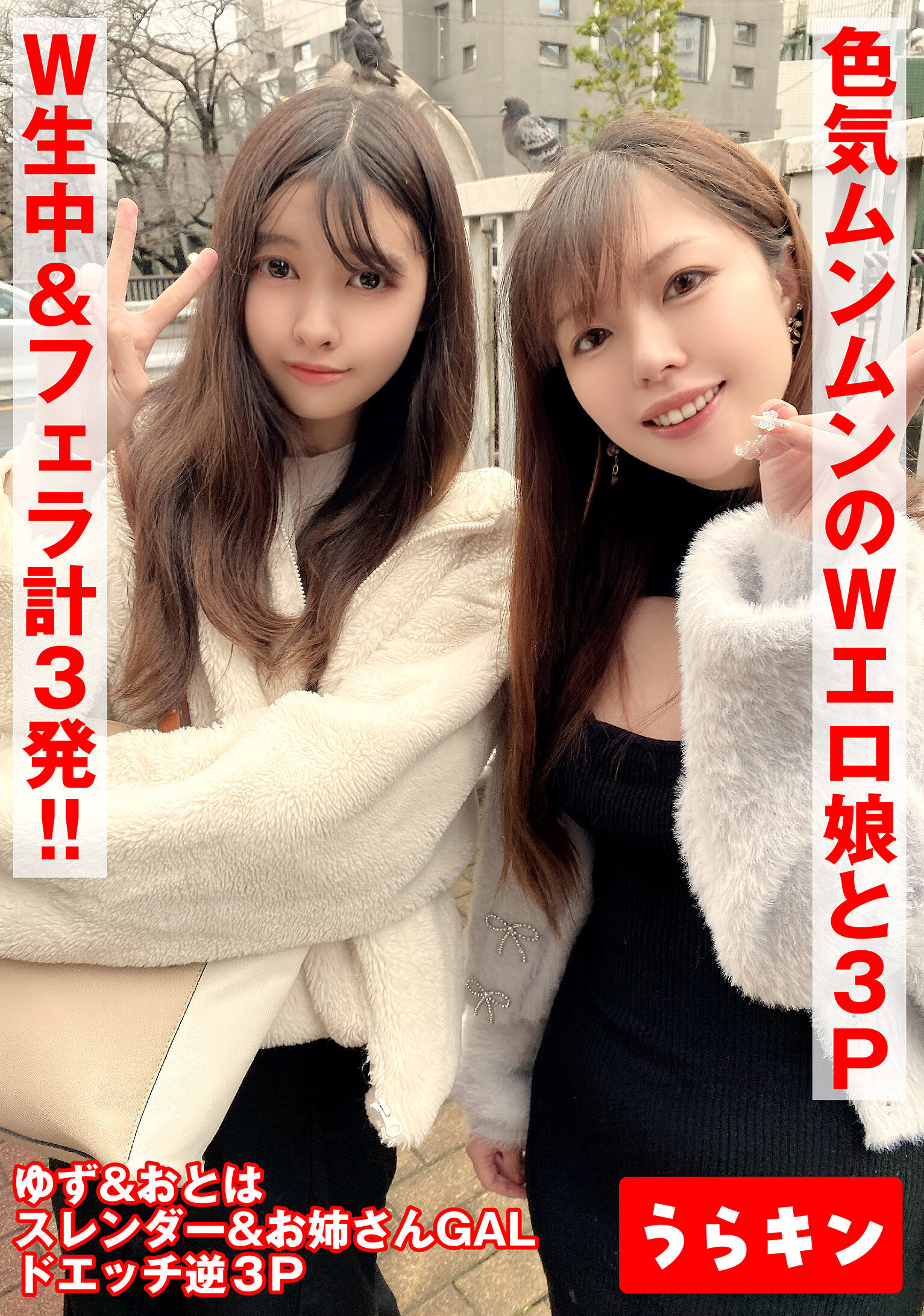 パッケージ画像