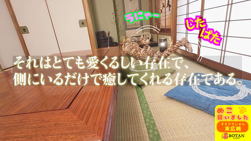 サンプル画像 5