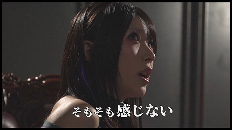 サンプル画像 12