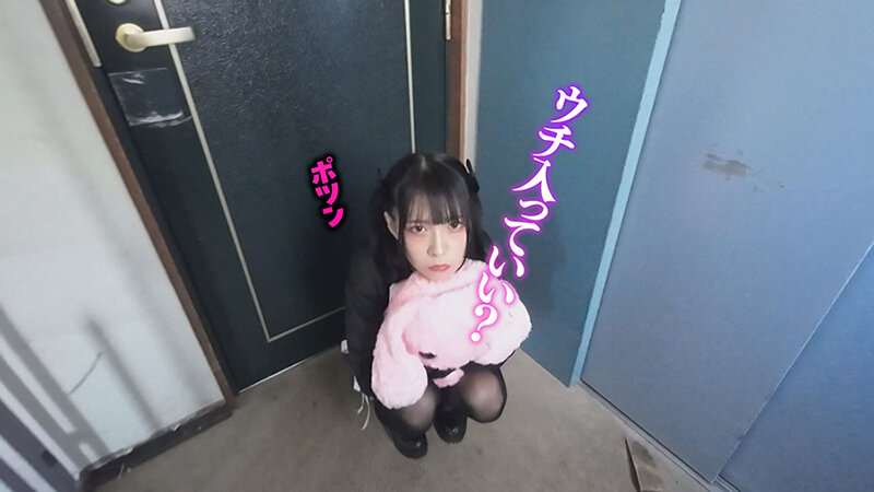 サンプル画像 9