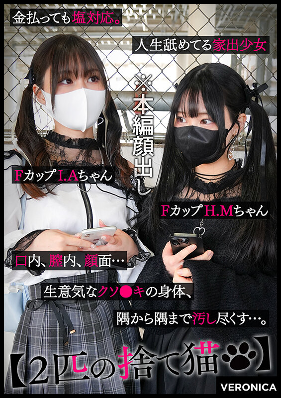 サンプル画像 13