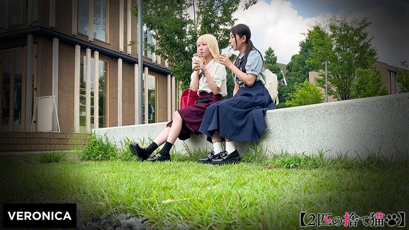 サンプル画像 2